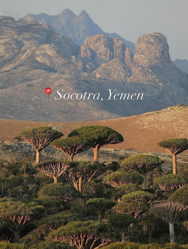 Socotra Island: The Most Alien Looking Place on Earth