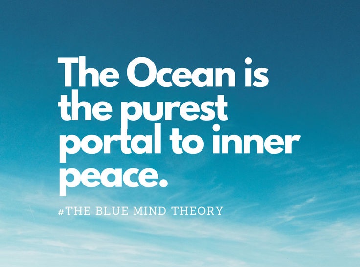 Blue Mind: How Water Quietly Heals the Soul, Restores Peace, and Sparks Creativity