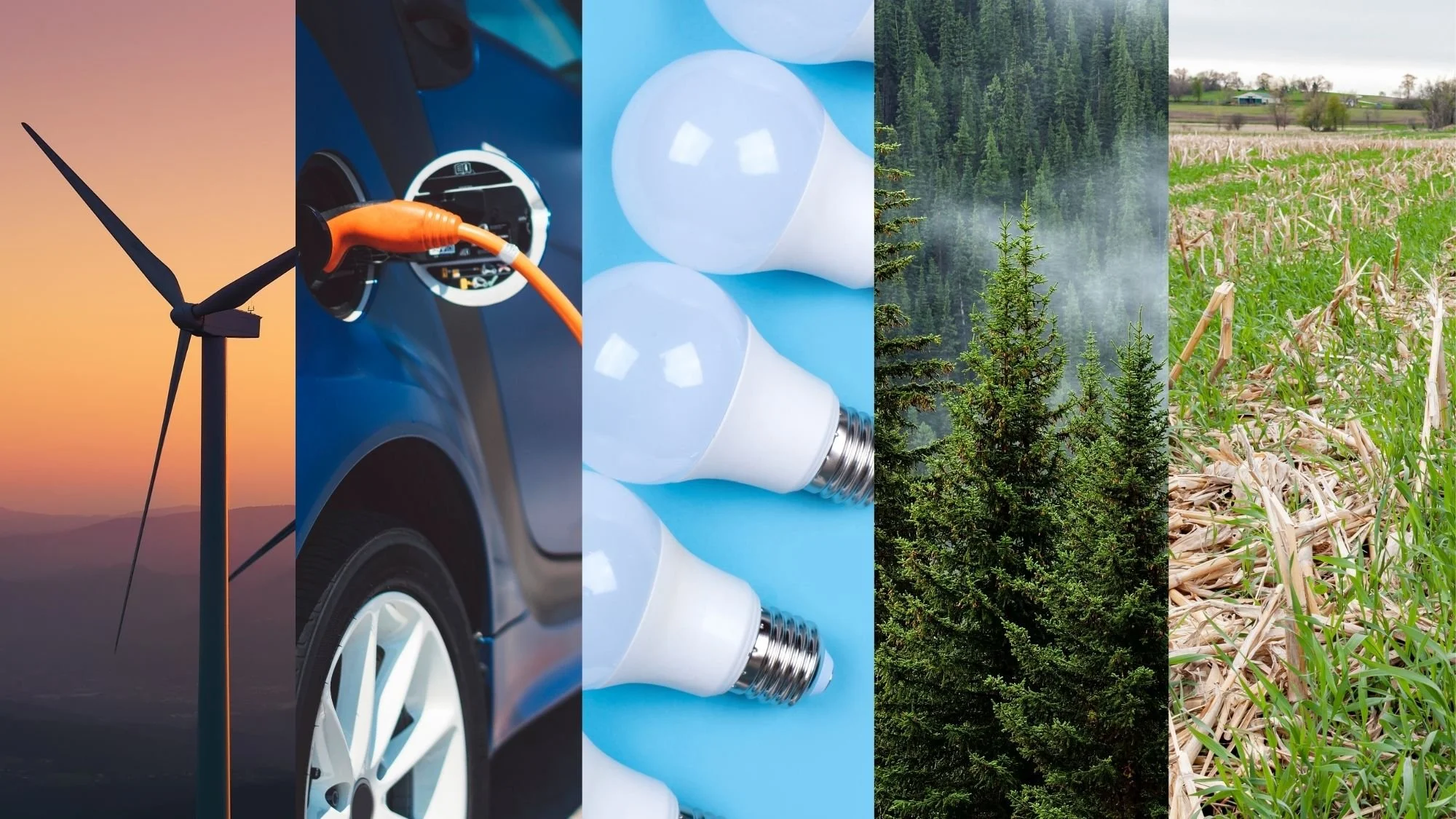 Can Technology Mitigate the Problem of Climate Change?