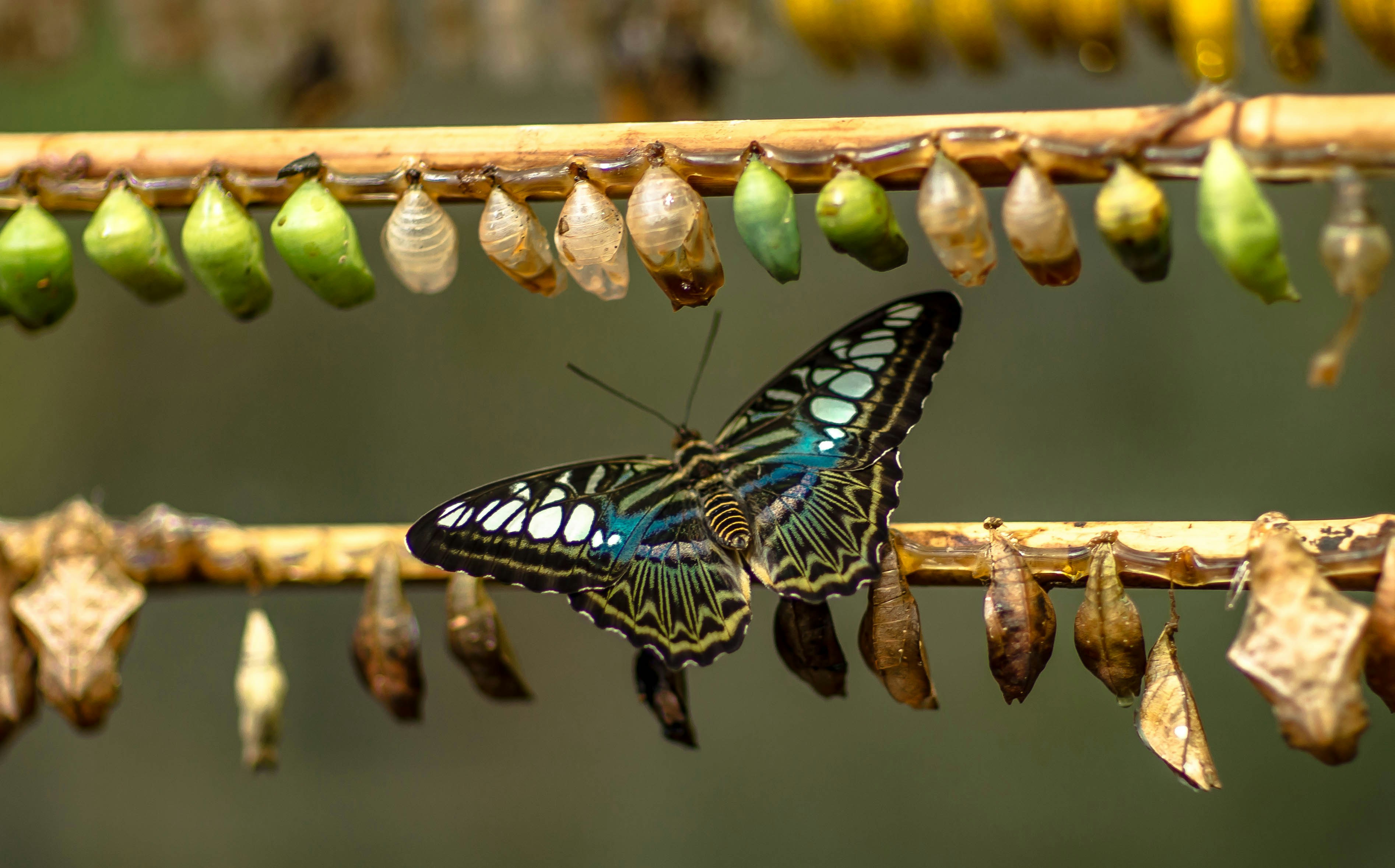 Why Are We Hesitant to Change Things, Including Ourselves?