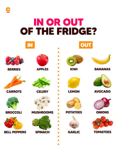 fridgeee.jfif